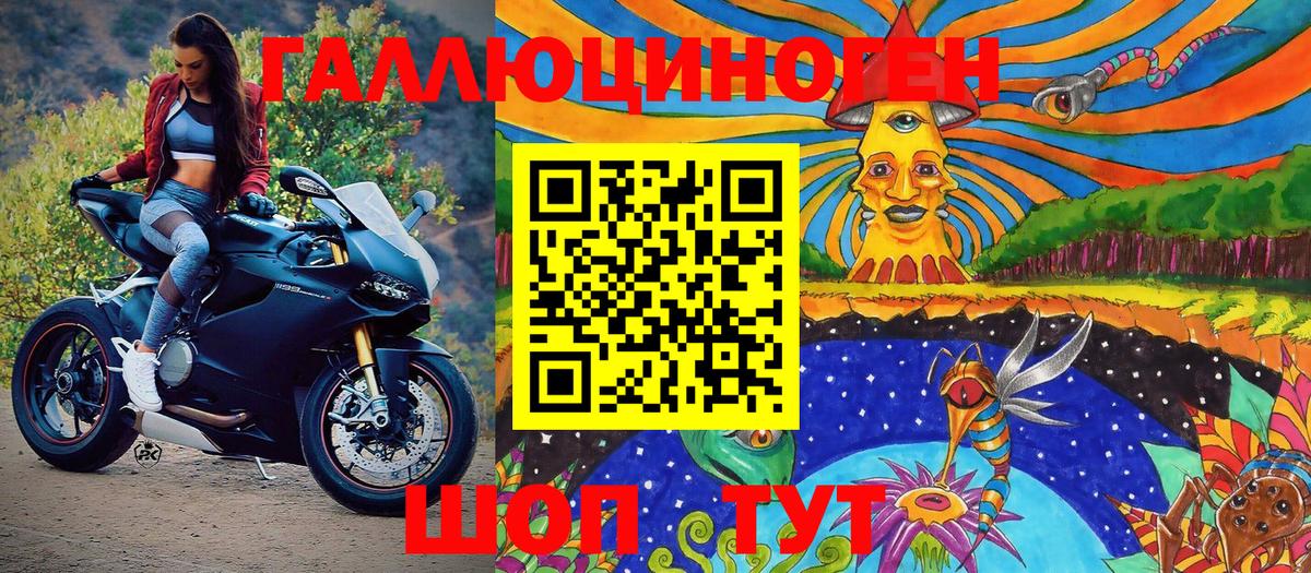 Медногорск  купить закладку  Вход с VPN  Псилоцибиновые грибы GOLDEN TEACHER 